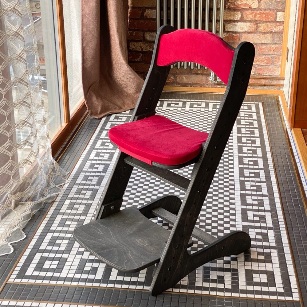 Растущий стул для детей “Компаньон” Чёрный венге с комплектом красных подушек