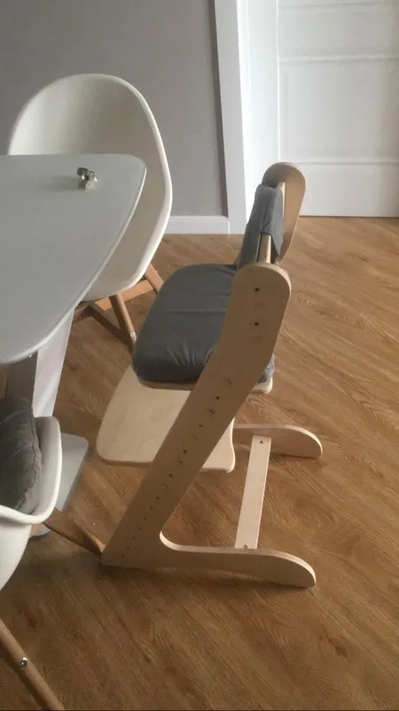 Растущий стул для детей “Компаньон” с комплектом темно-серых подушек